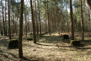 assembly-hall-fragments